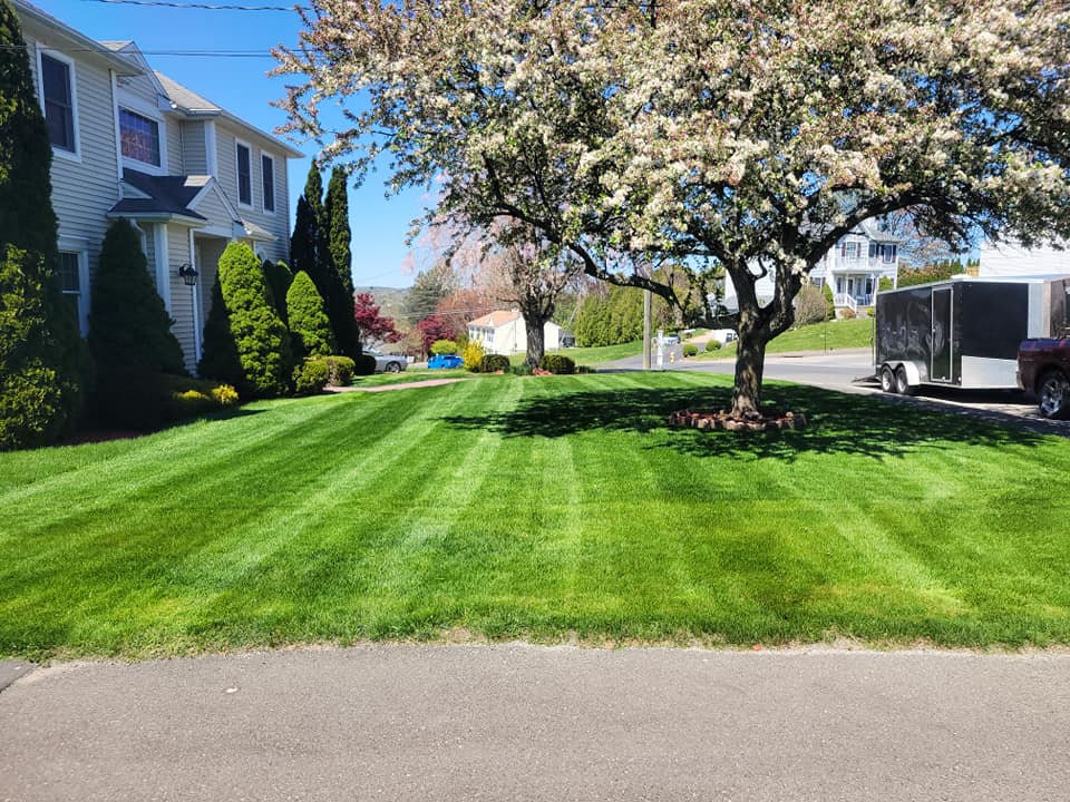 Luis & Son, LLC