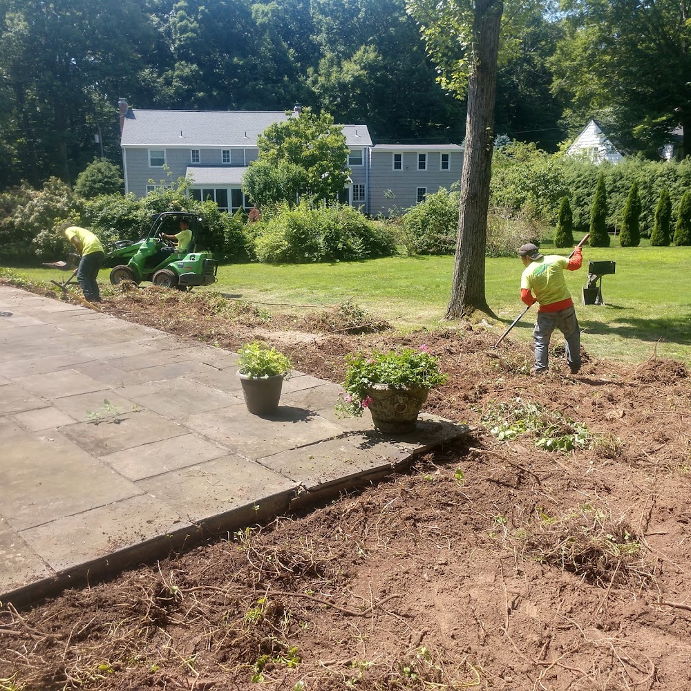 Trout Brook Arborists