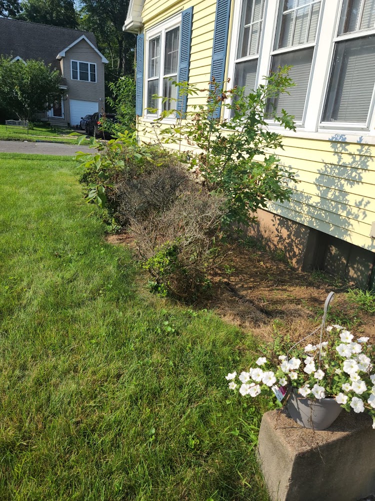 Berdecia Landscaping LLC