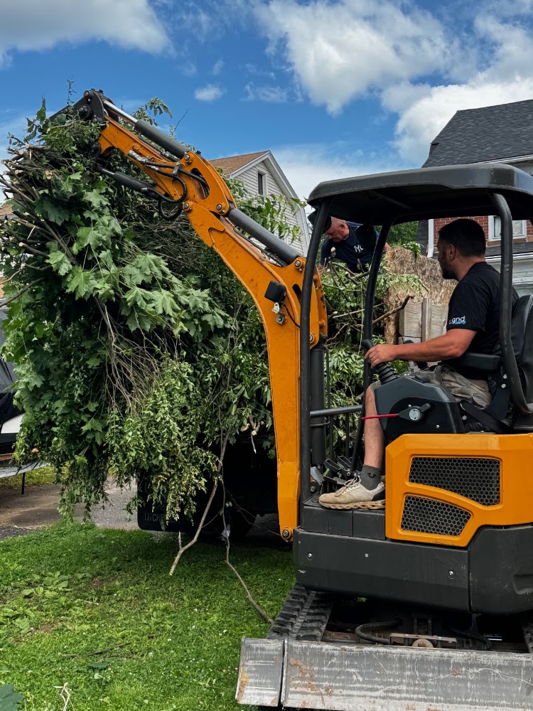 Fasano Landscaping