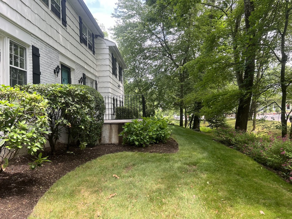 Leonel and Sons Landscaping