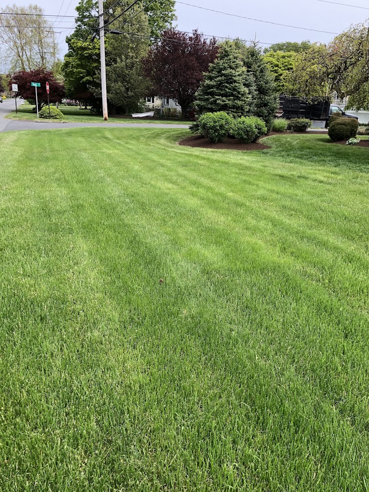 G&J Landscaping Home Improvement