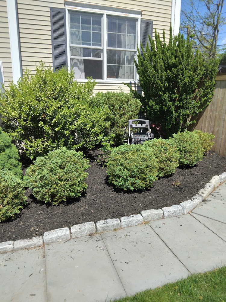 J.Antonio's Property Maintenance