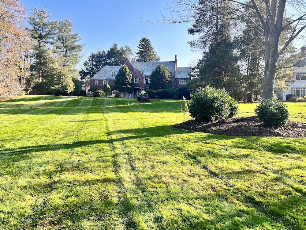 Pro Landscaping LLC