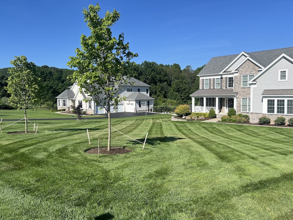 Dundon Lawn Services, LLC
