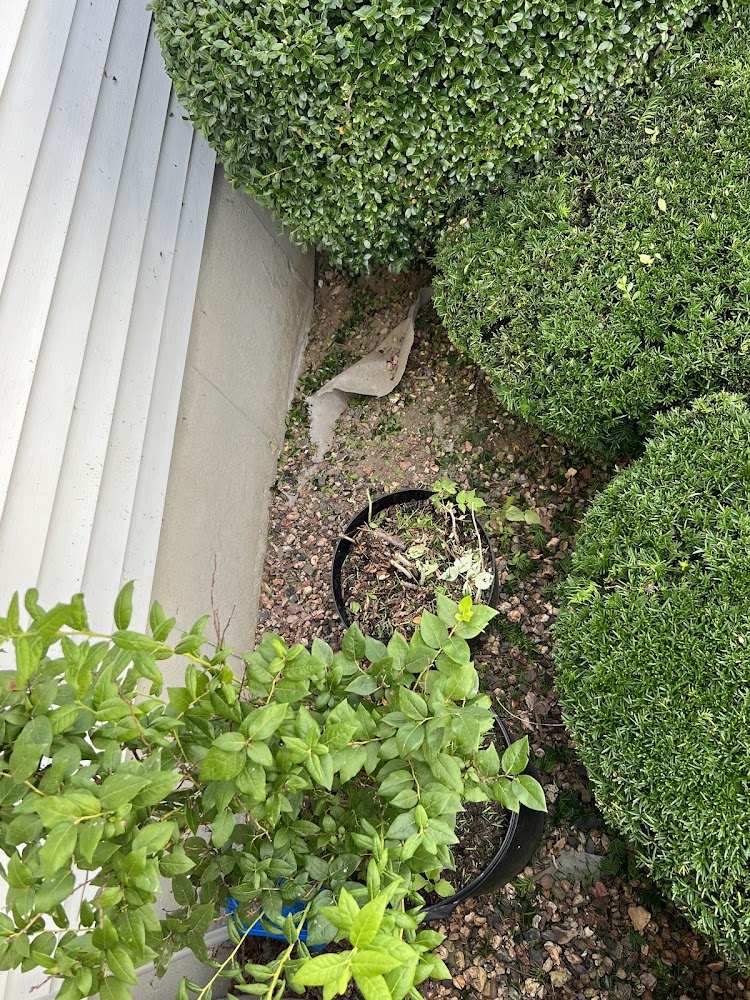 Paul's Landscaping Inc