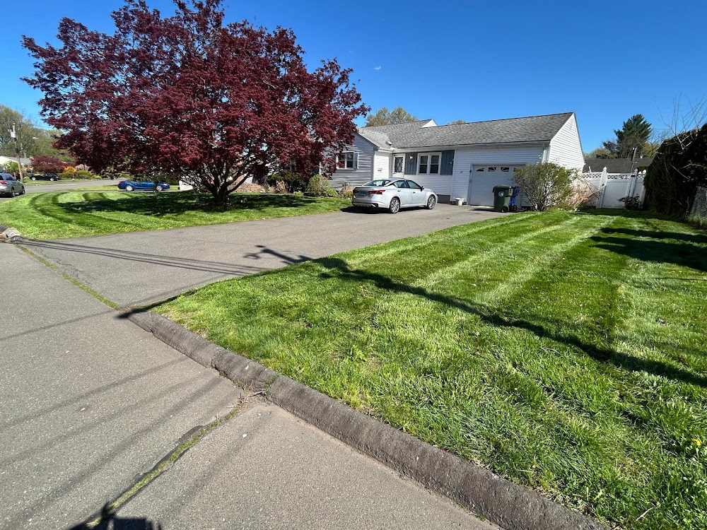Deleon Landscaping Services LLC