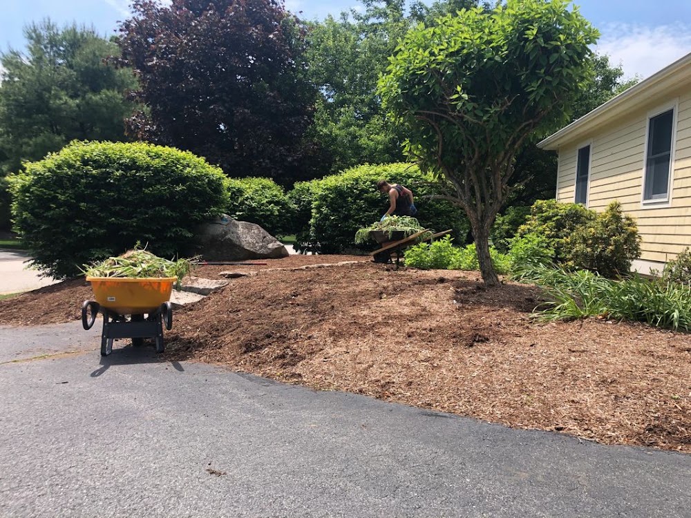 Yello Landscaping
