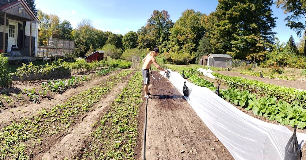A New Hope Farm