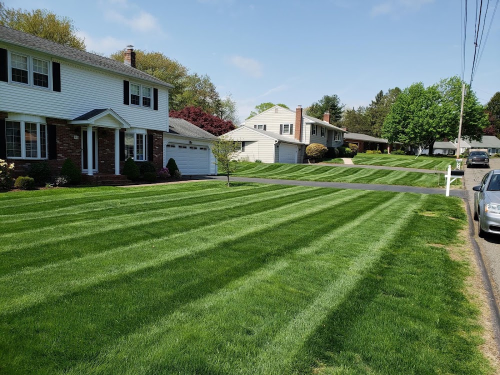 Delgado's Landscaping LLC.