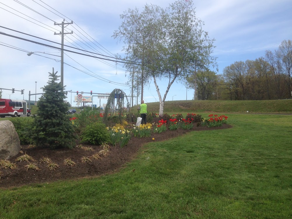 Amazon Landscaping Design & Handyman Services LLC