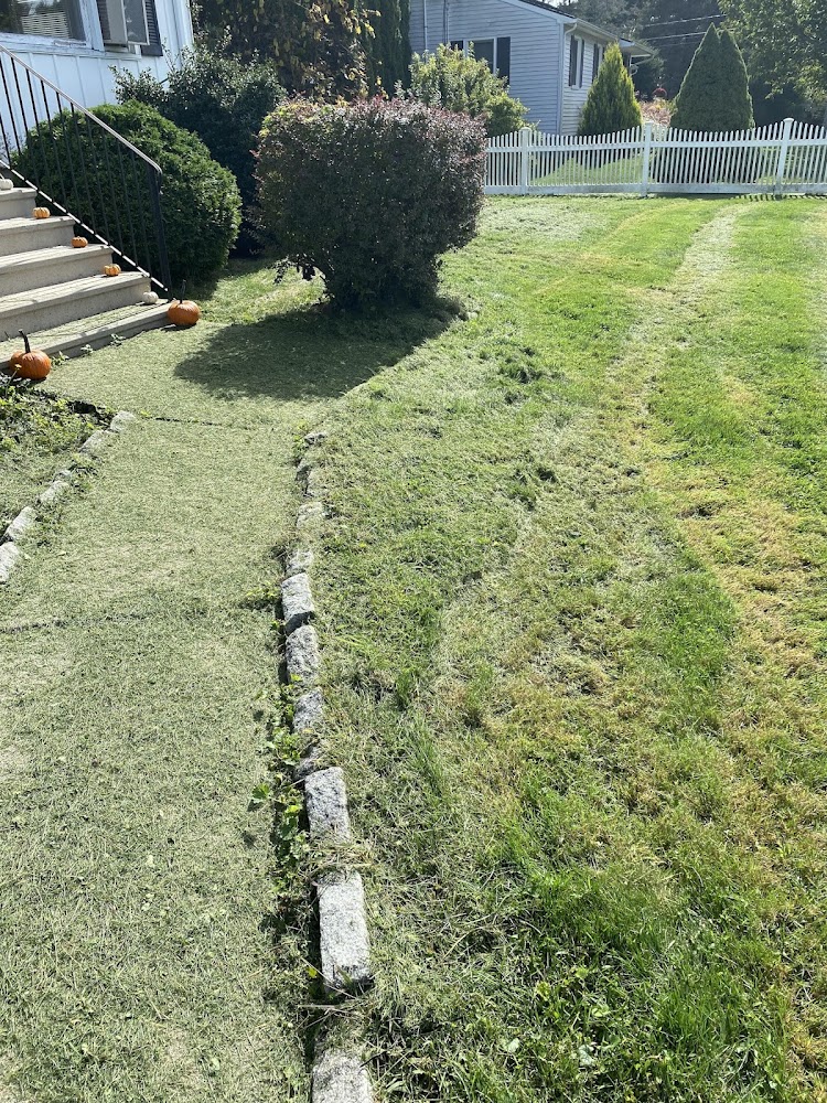 AP Landscaping