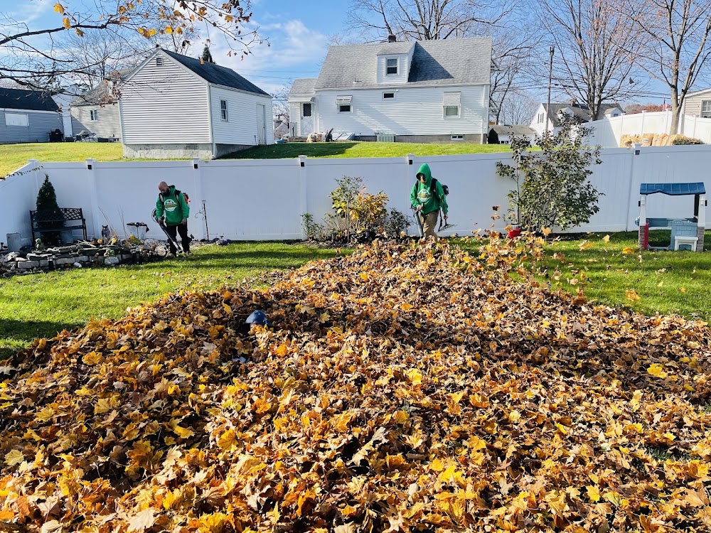 Hands on Landscaping