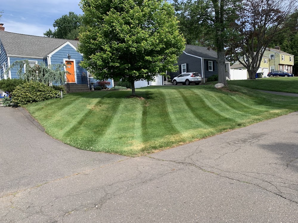 Strictly Cut Landscaping & Property Maintenance LLC.