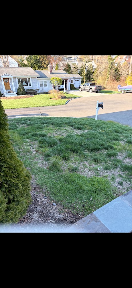 Lucky's Landscaping