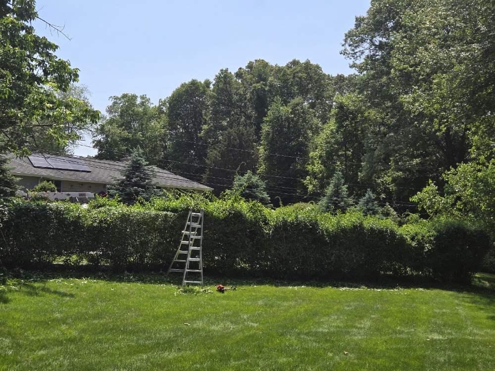 Jose Gonzalez Landscaping LLC