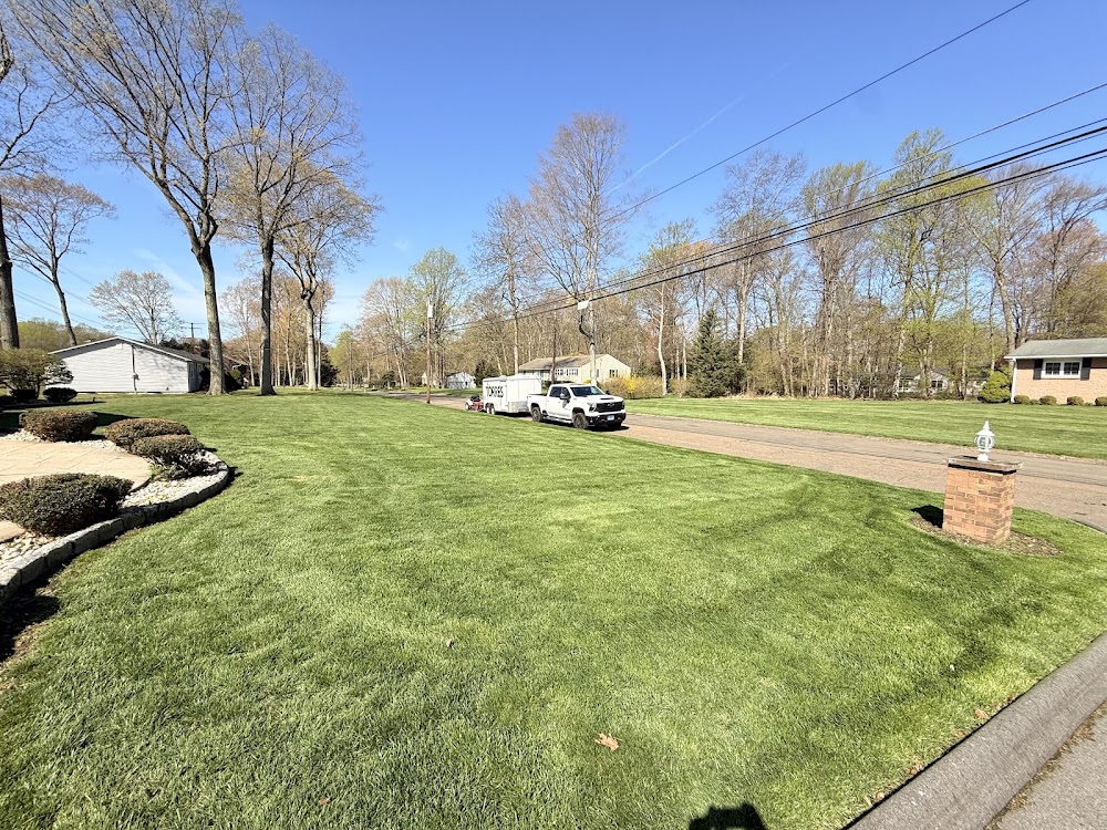 Torres Property Services LLC