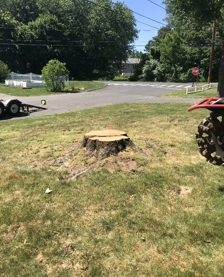 Stump "OFF" LLC Stump Grinding