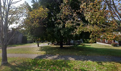 American Green Landscaping Llc
