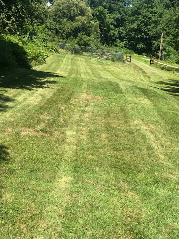 Aayden and Joseph's Landscaping LLC