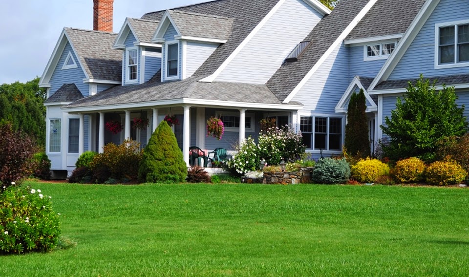 Roots Landscaping