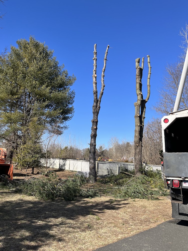 C QUITO LANDSCAPING LLC