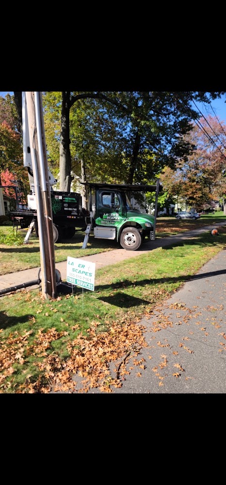 Lazer Scapes Tree Service
