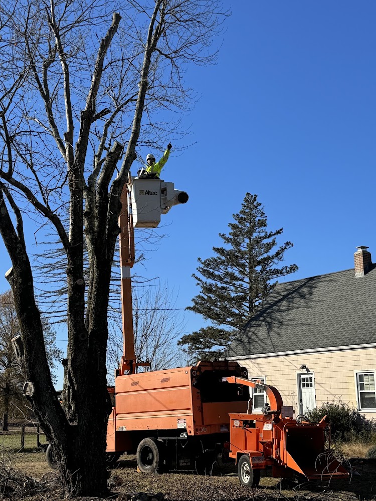 Connecticut Land and Tree Services
