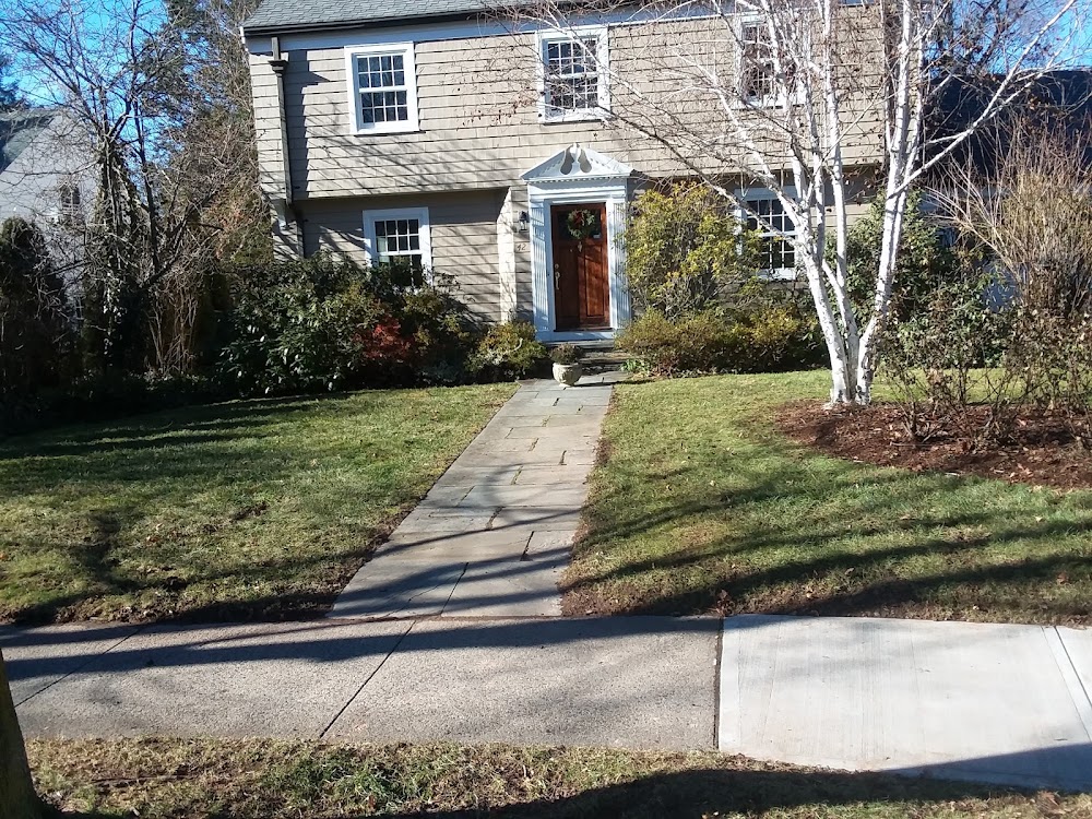Matt's Meticulous Landscaping