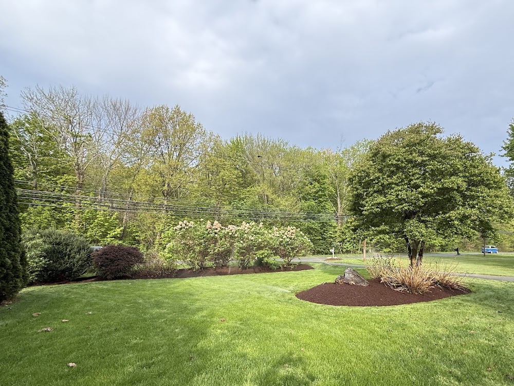 Luna Tree Care LLC