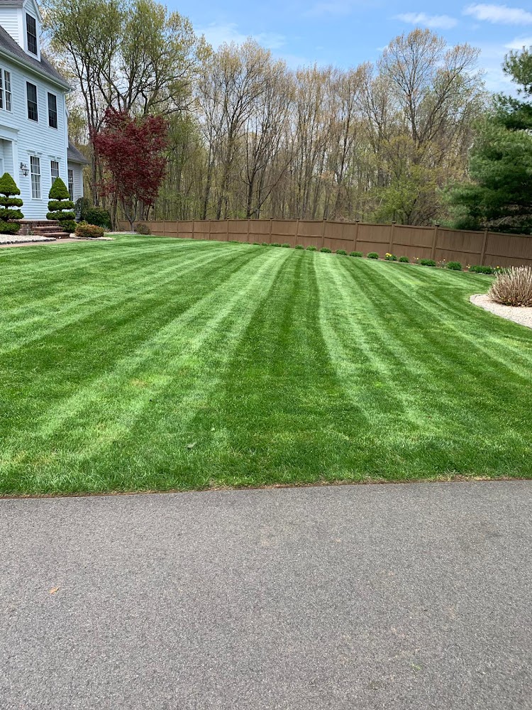 M/D Brothers Lawn Care
