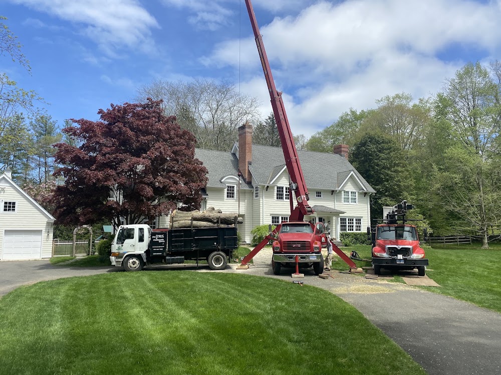 JS Landscaping and Tree services