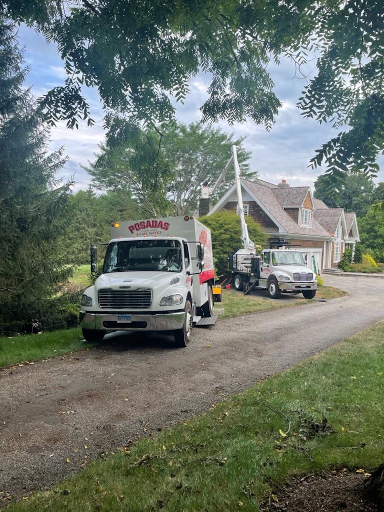 Posadas Landscaping and Tree Services