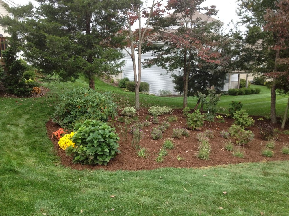 Ever Green Landscaping Inc