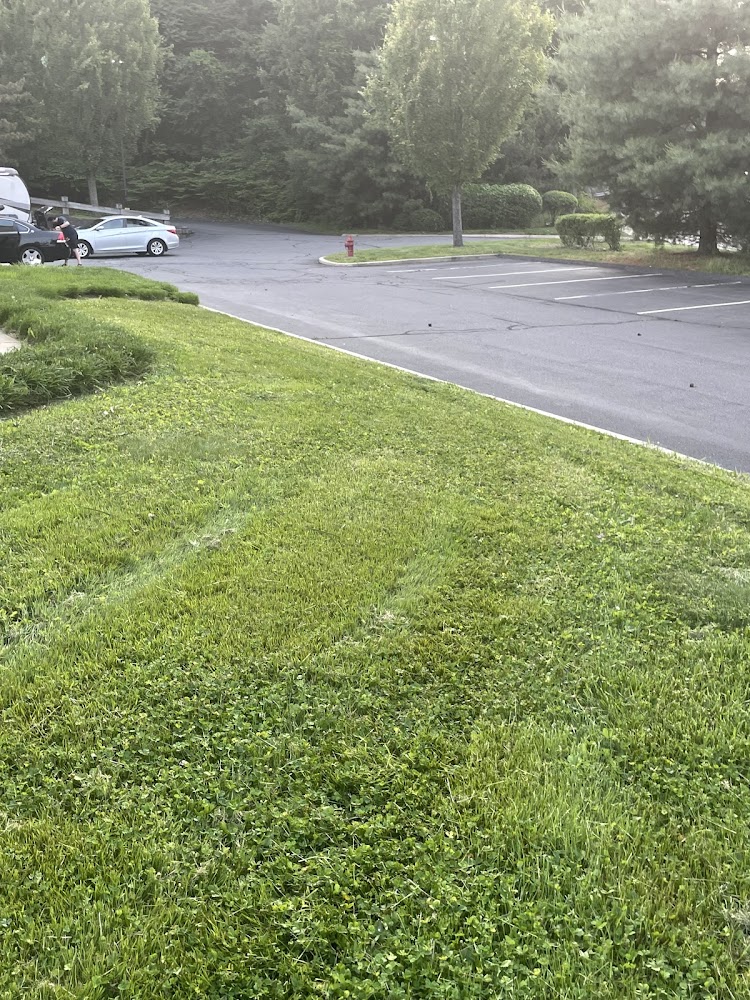 Lawn Experts LLC