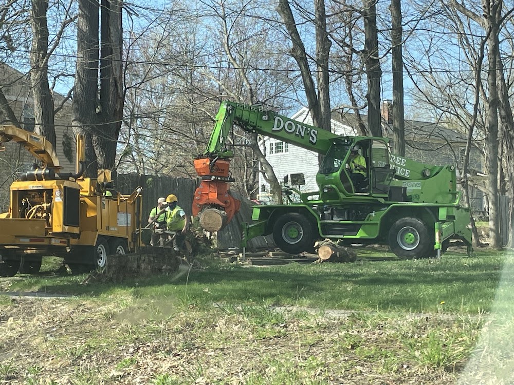 Don's Tree Removal & Landscaping