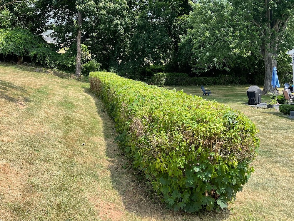 Prestige Landscaping & Property Maintenance LLC