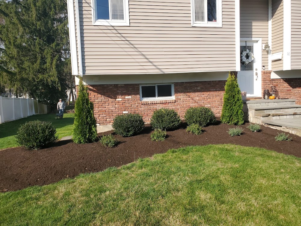 Selvin's Landscaping