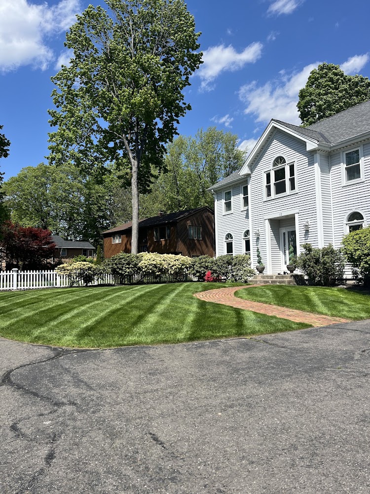 Barnum Lawn & Landscape