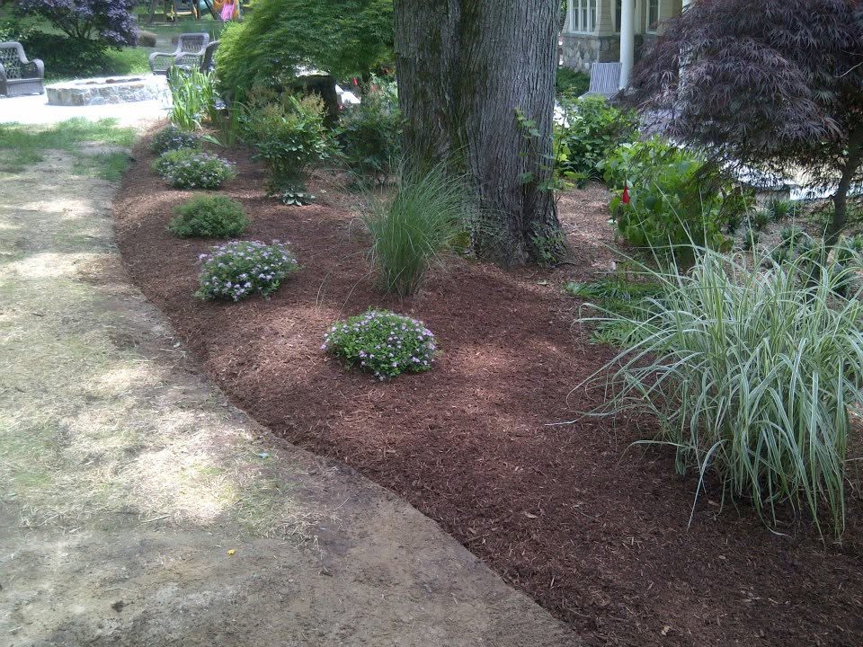Carriage Landscaping