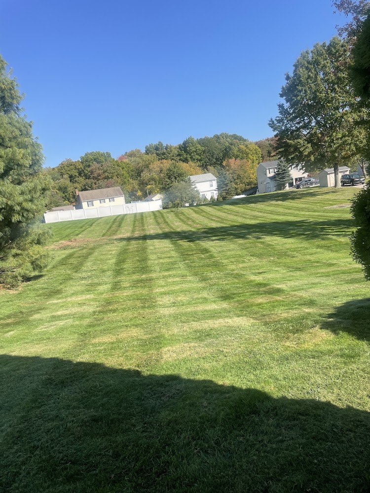 Ponzio’s Precision Landscaping