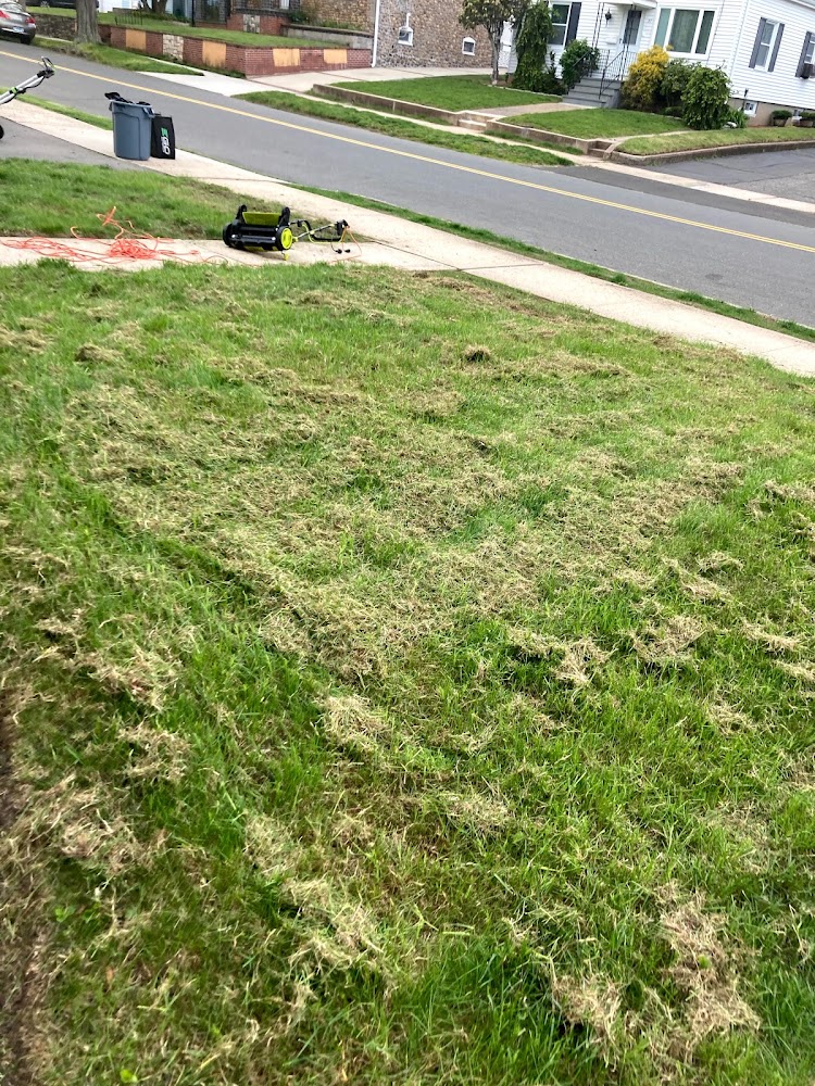 Olive Creek Landscaping LLC