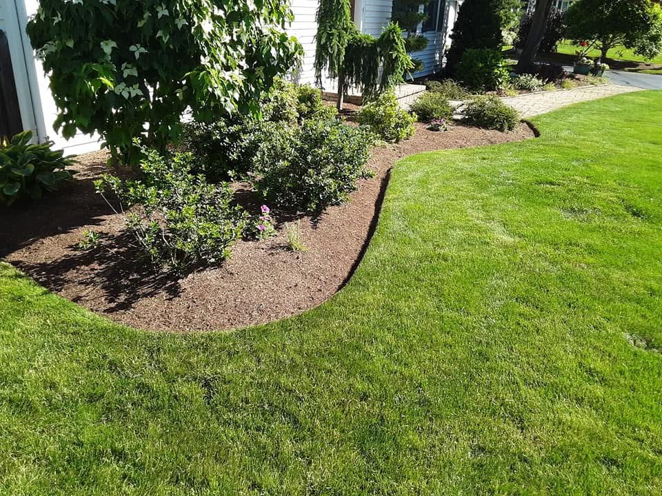 Trent Landscaping Inc