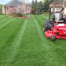 Apex Property Maintenance
