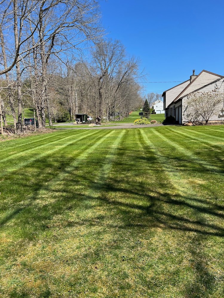 Luxury Landscaping LLC