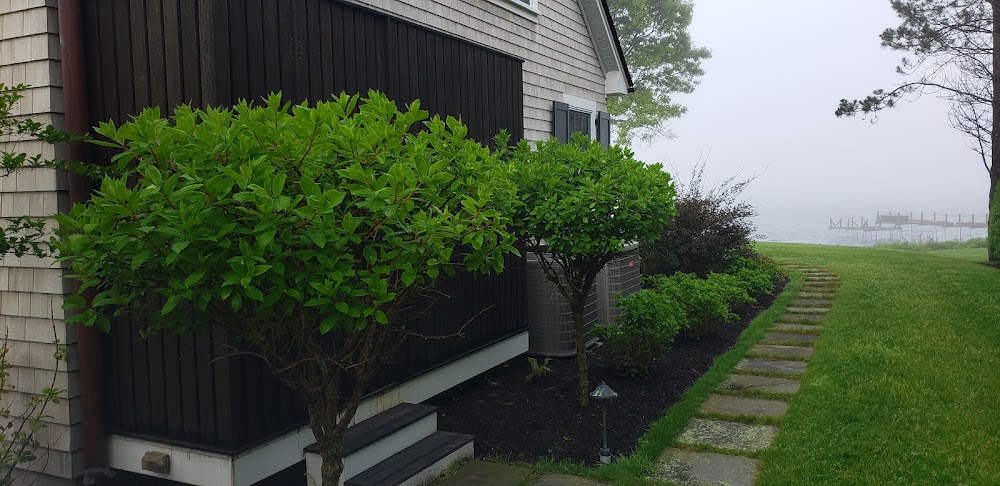 JB's Shrubs and Trees
