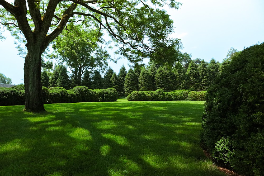 Your Gardening Angel Landscaping