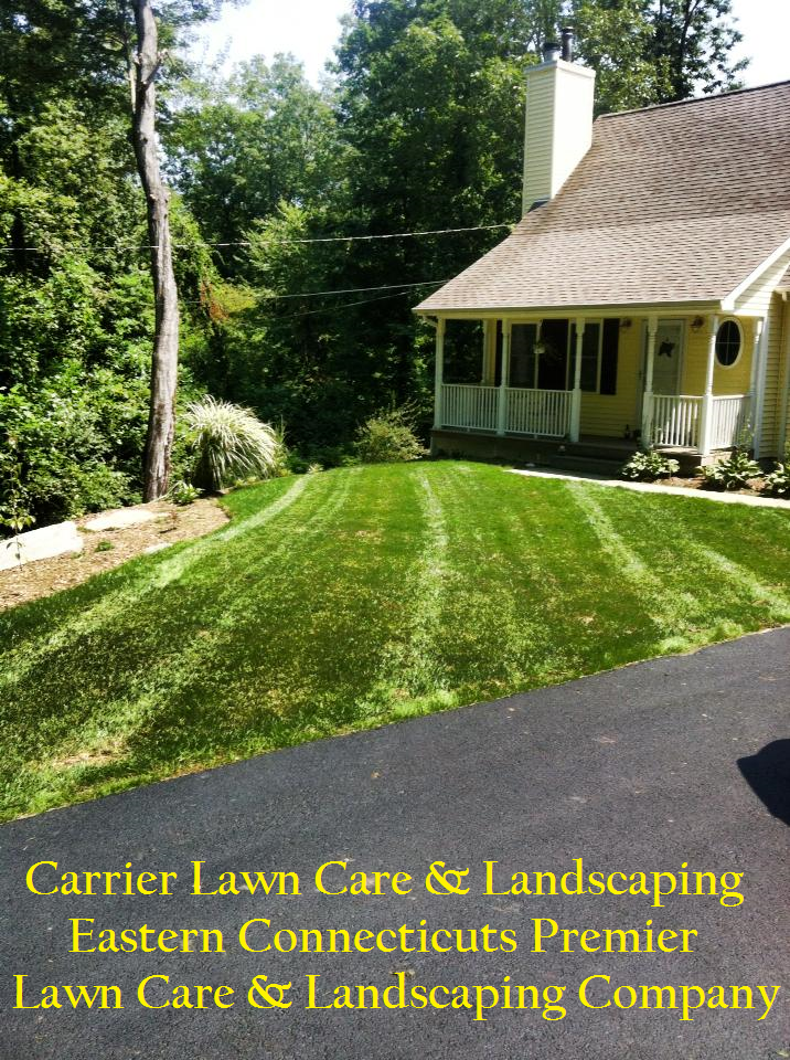 Carrier Lawn Care & Landscaping L.L.C