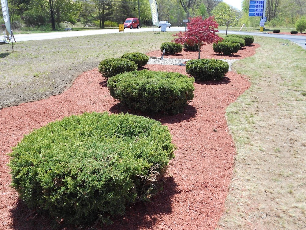 Torillo's Landscaping