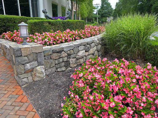 Eastern Land Management
